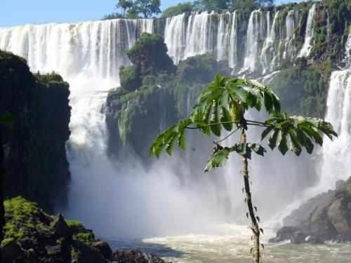 Calafate Iguazu Buenos Aires Jour 3 bas
