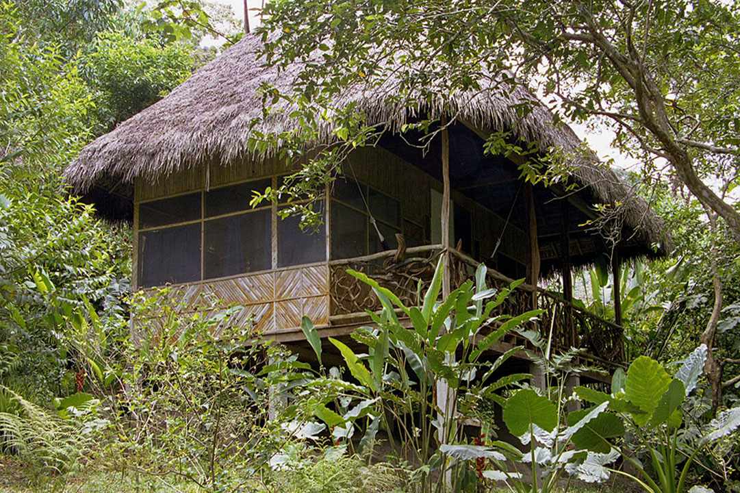 藤本植物小屋小屋