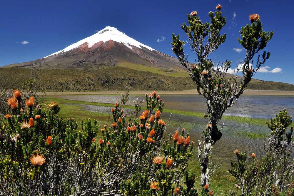 Gran foto del Cotopaxi