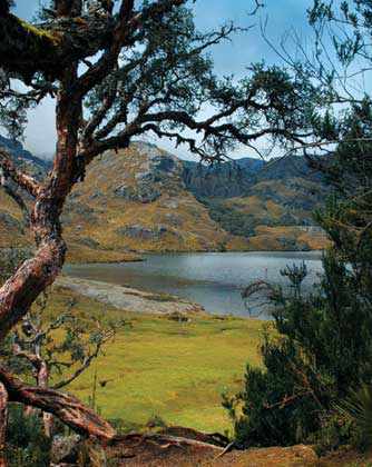 Gran foto del Parque Nacional El Cajas