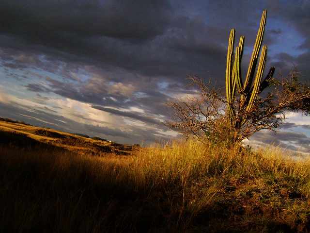 Day 2 Tacao Desert Follow-up program Colombia