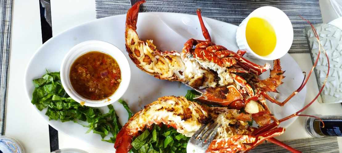 Lobste all you can eat Insel Contadora