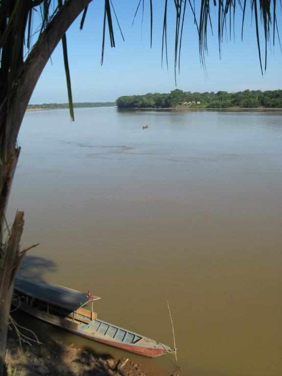 Dschungellodge Am Rio Tambopata 2 Low Solution