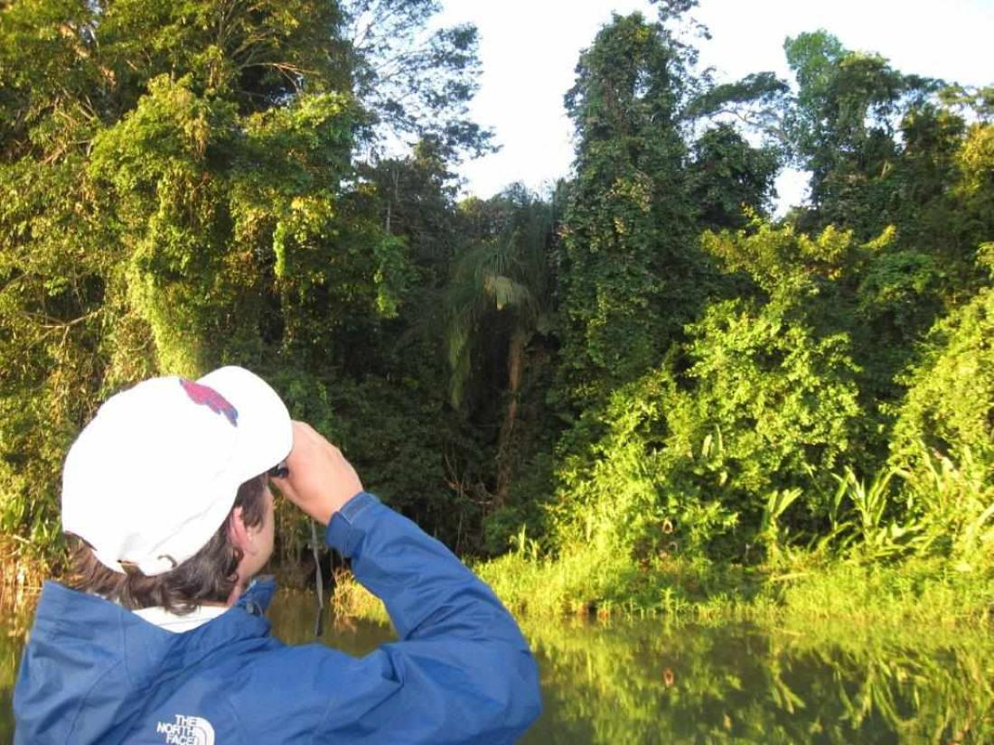 Jungle Lodge en el Río Tambopata Solución Baja