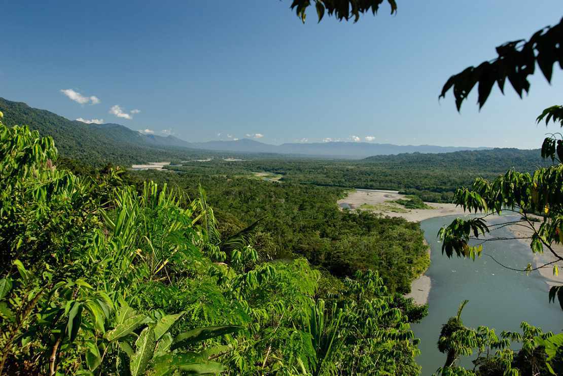 Parc national de Manu