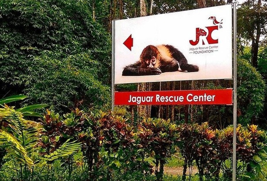Bild vom Schild des Jaguar Rescure Centers