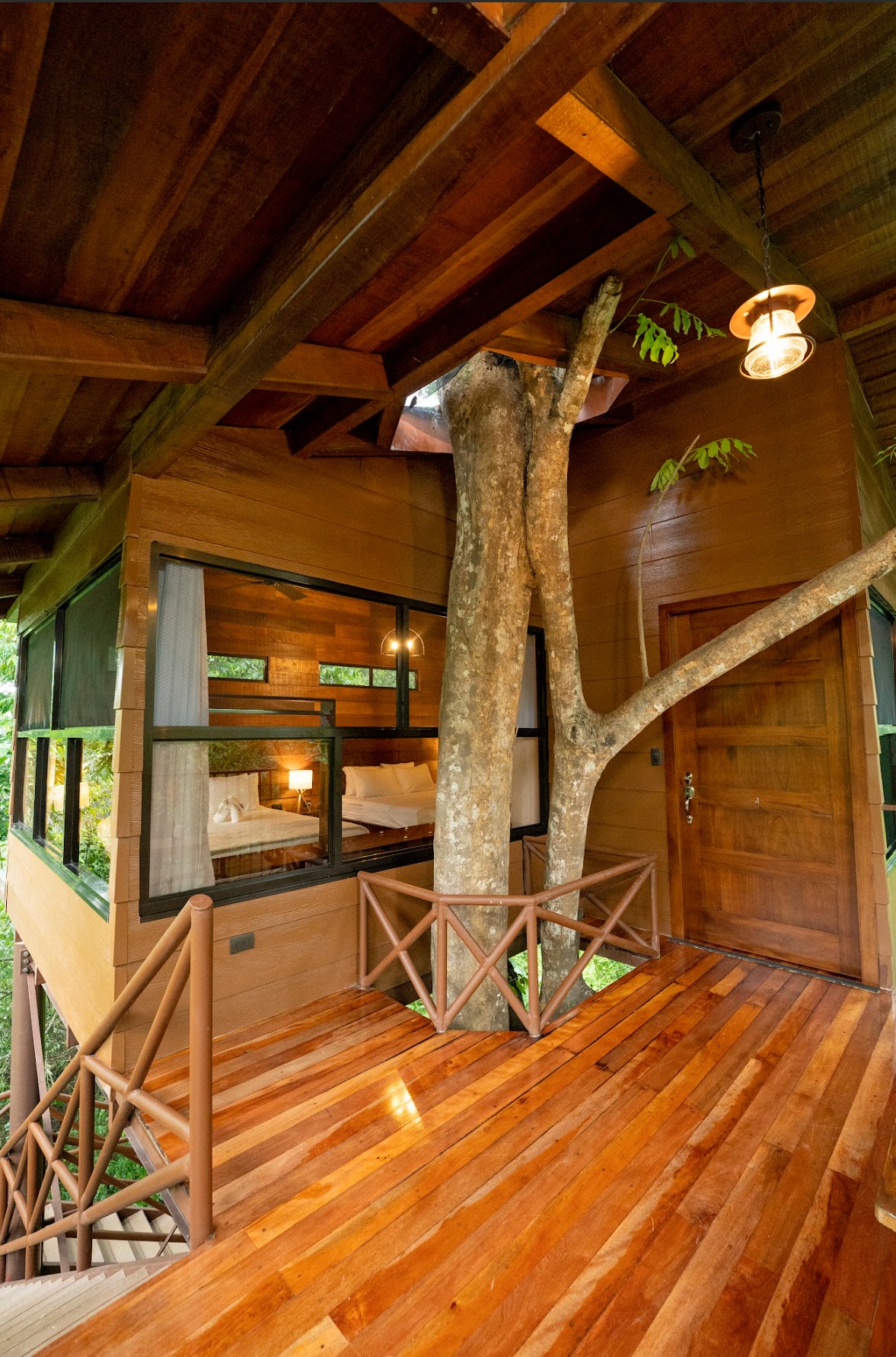 Maquenque treehouse Aufgang