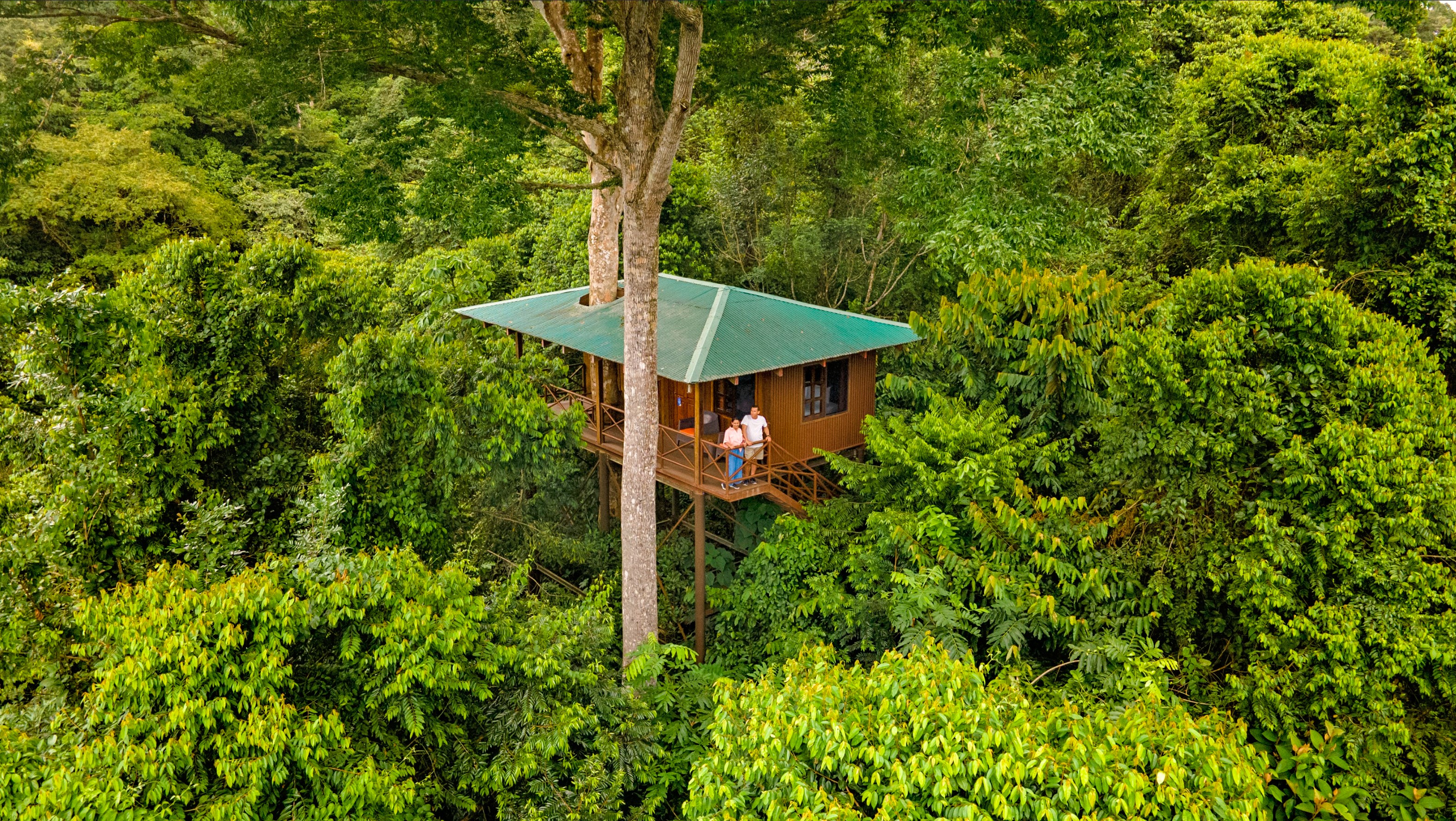 Mauquenque treehouse drohneaufnahme