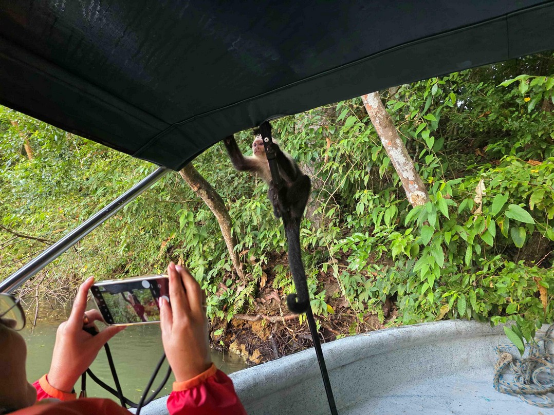Panama Kanal tour affe
