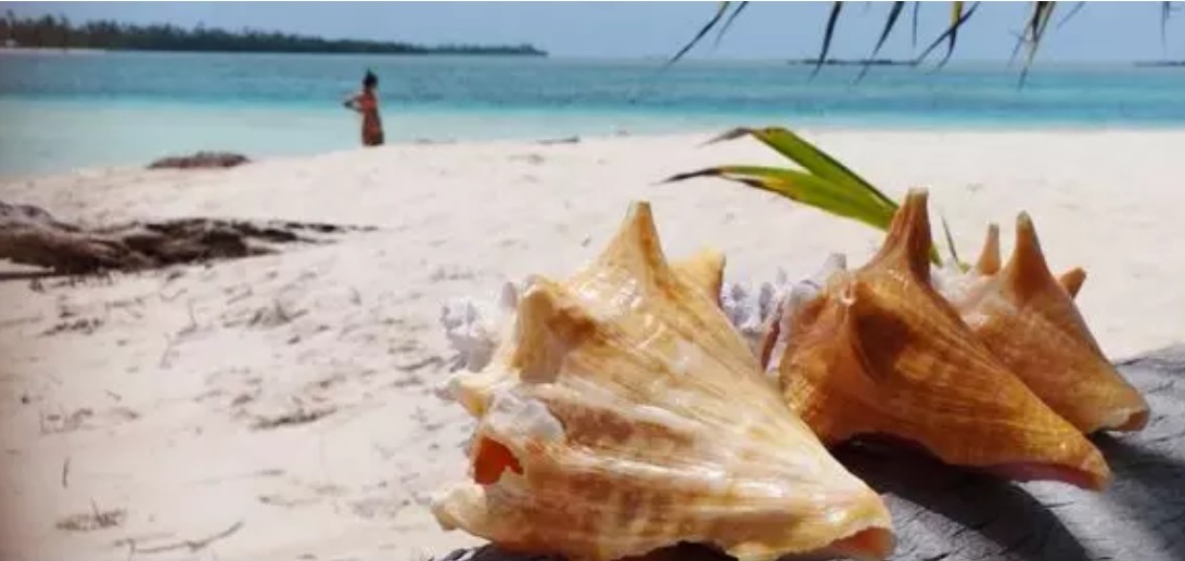 San Blas Strand mit Muscheln