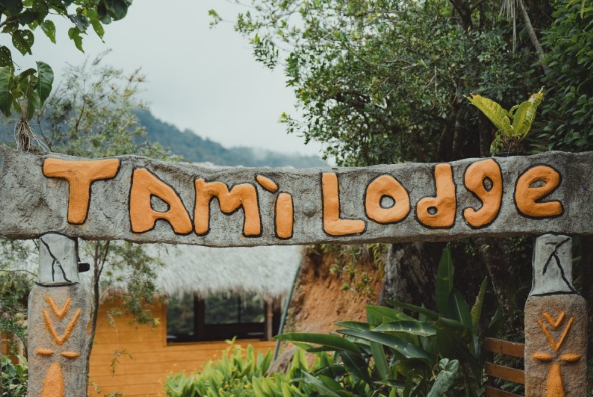 Tami Lodge Logo