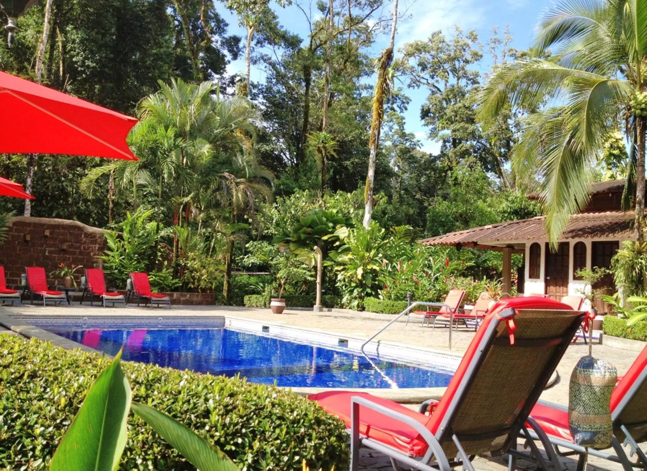 Piscina del lodge nella giungla di Casa Corcovado