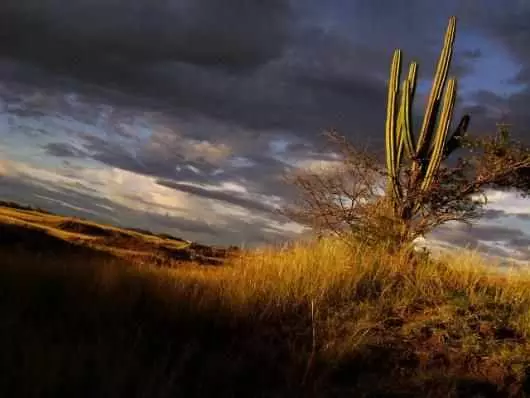 Día 2 programa de seguimiento del desierto de Tacao Colombia