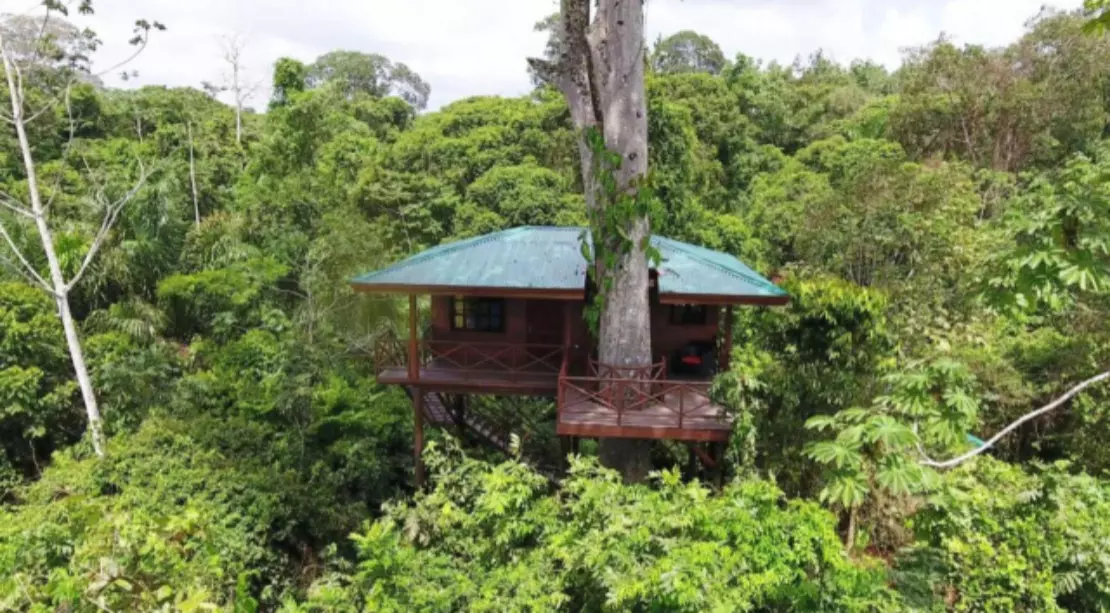 Maquenque Eco Lodge 博卡塔帕达