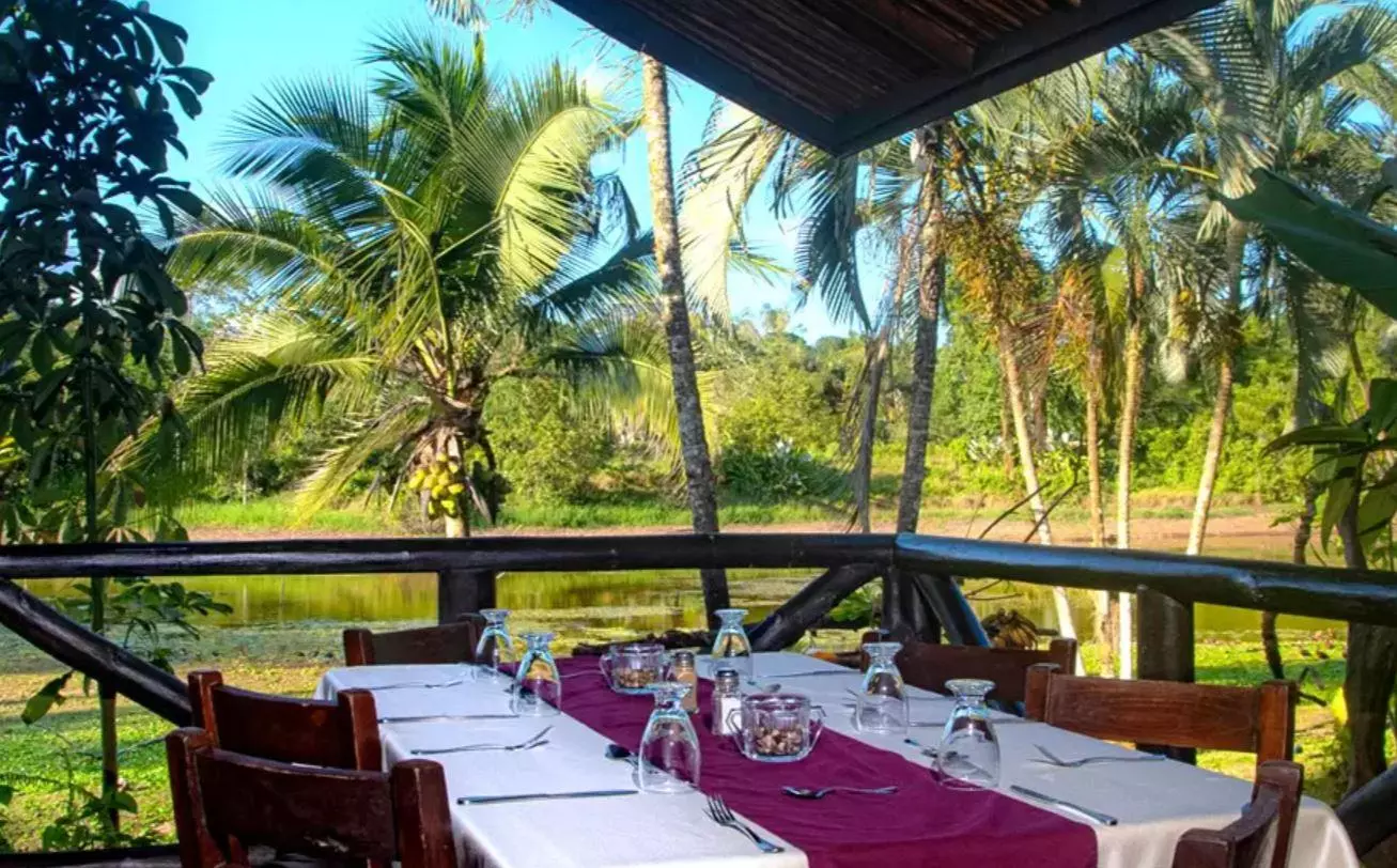 Área de comedor al aire libre de Maquenque Eco Lodge