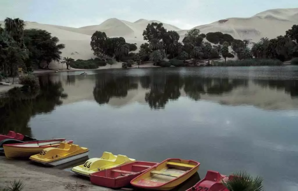 Parc national de Paracas & ​​les lignes de Nazca