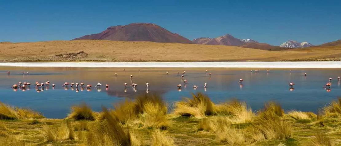 Especialista en viajes a las Islas San Blas