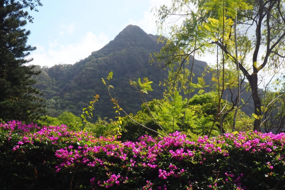 巴拿马团体旅游巴耶德安东 2